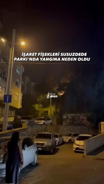 Göztepe’nin 101. yıl kutlamaları sırasında atılan işaret fişekleri nedeniyle Susuzdede Parkı’nda yangın çıktı.