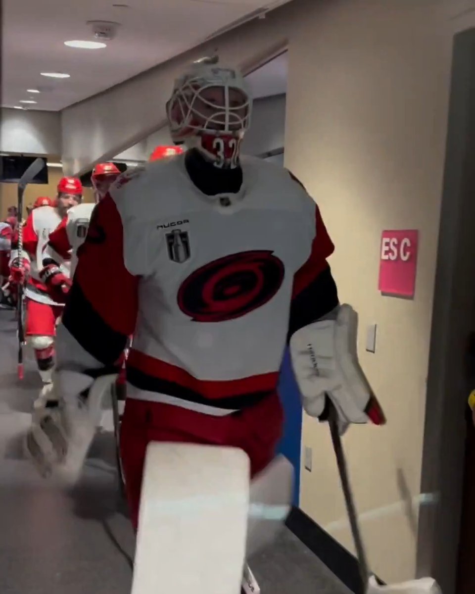 HERE COME THE HURRICANES