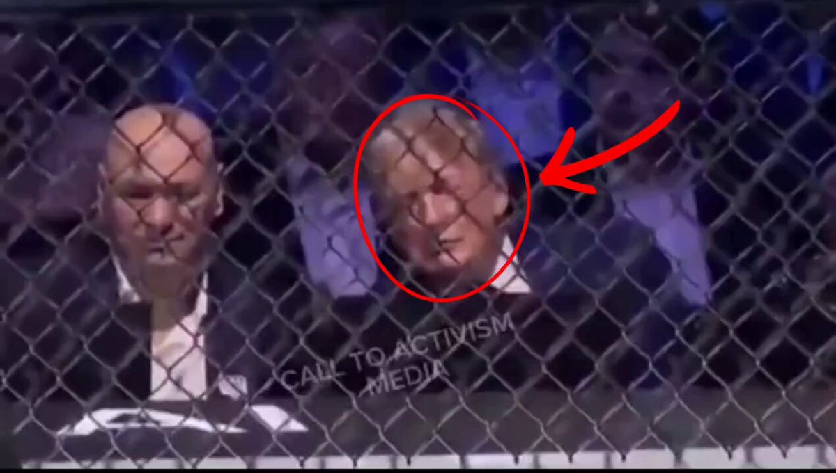 ABD Başkanı Donald Trump, 80. yaş gününde Beyaz Saray'ın bahçesinde düzenlenen UFC dövüşlerini izlerken uyuyakaldı. Neden gittiği her yerde uyuyor?