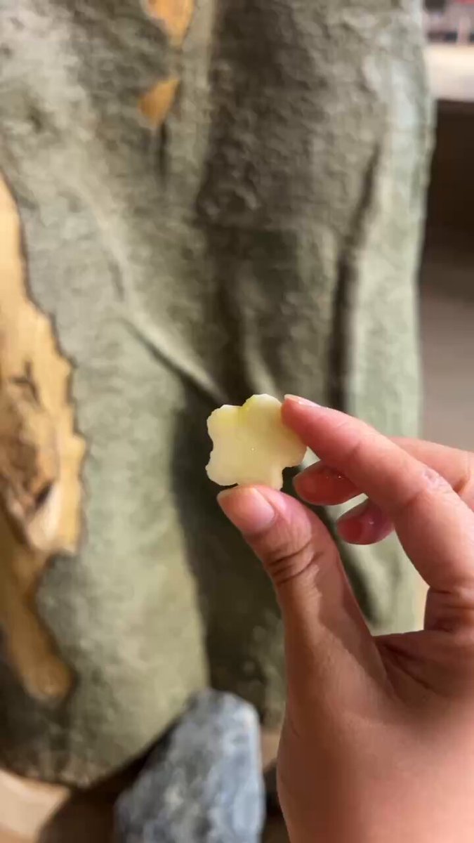お客様から「さくら」に沢山のりんごをいただきました🍎🍎 美味しそうに食べていて、見ているわたしもお腹いっぱいでハッピーな気持ちになりました🌸 素敵なプレゼントを「さくら」にいただき、ありがとうございました✨（うお） #ネオパーク #レッサーパンダ #ありがとうございます