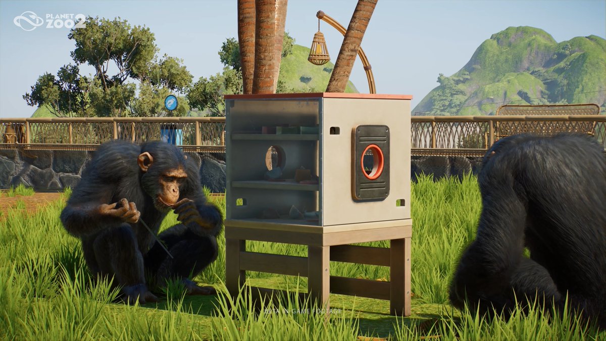 Entertaining enrichment is one of the key things you need to provide to ensure your animals are happy in their habitat. Our Western Chimpanzees here are enjoying their Tool Puzzle Feeder to get food 💚 Pre-order Planet Zoo 2: