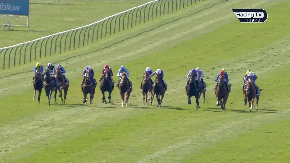 "My best bet of the whole week." Steve Ryder is very keen on Gstaad reversing form with Bow Echo in tomorrow's St James's Palace Stakes