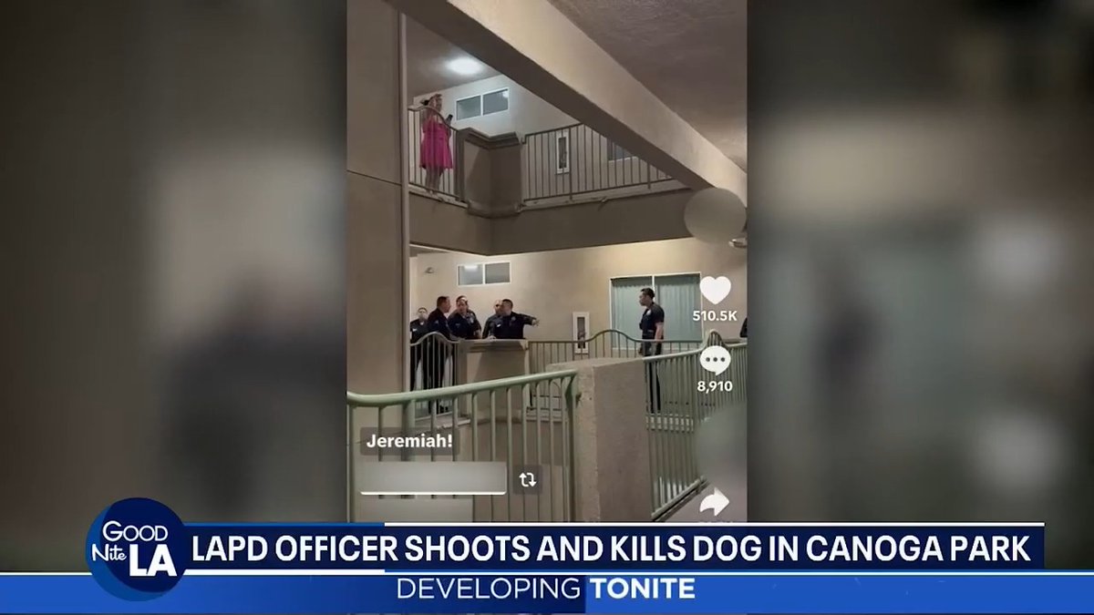 LAPD shoots and kills a dog as the owner celebrates the Knicks' NBA championship. 🎥: FOX 11 Los Angeles