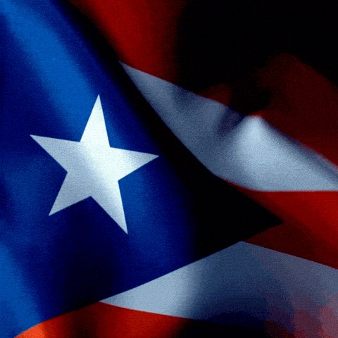 From Puerto Rico with Love Carmela Clutch | VEGAS | LA | MIA
