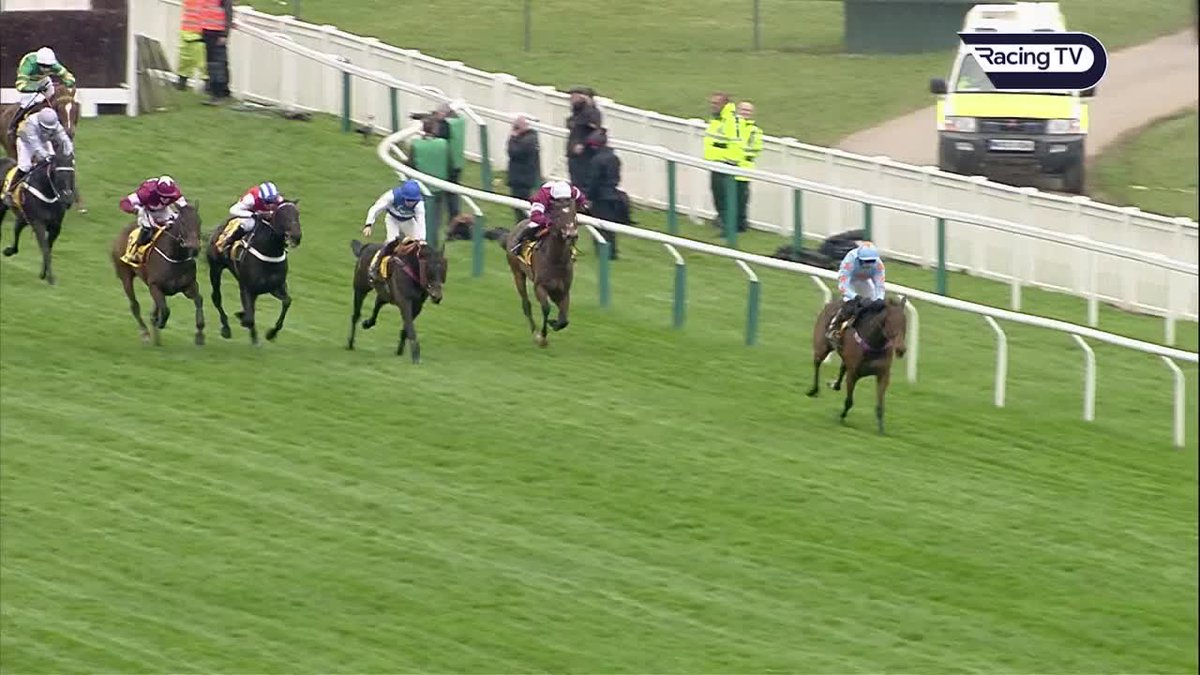 ❤️ Sorry to hear that 10-time Grade 1 winner UN DE SCEAUX is no longer with us after sustaining a fatal injury in his paddock at home. Thoughts are with his connections - both during his racing career and in his retirement.