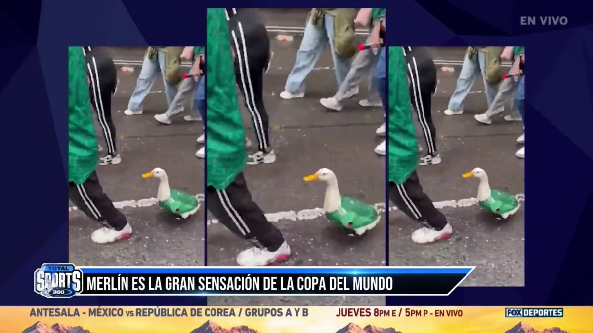¡UN AUTÉNTICO FAN! 🥳🇲🇽 El pato Merlín, el seguidor de México del que todos están hablando. 🦆 "NO NOS PODEMOS CREER QUE SEA FAMOSO", le dice Carla a Rodolfo Landeros 🇲🇽. 🗣️ #TotalSports #BoletoANorteAmerica #FiebreDeFutbol