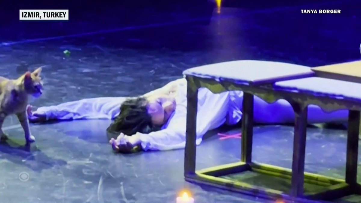 A stray cat made an unexpected stage appearance during a “Romeo and Juliet” performance in Turkey, wandering in mid-scene and even playing with the actor portraying Romeo.