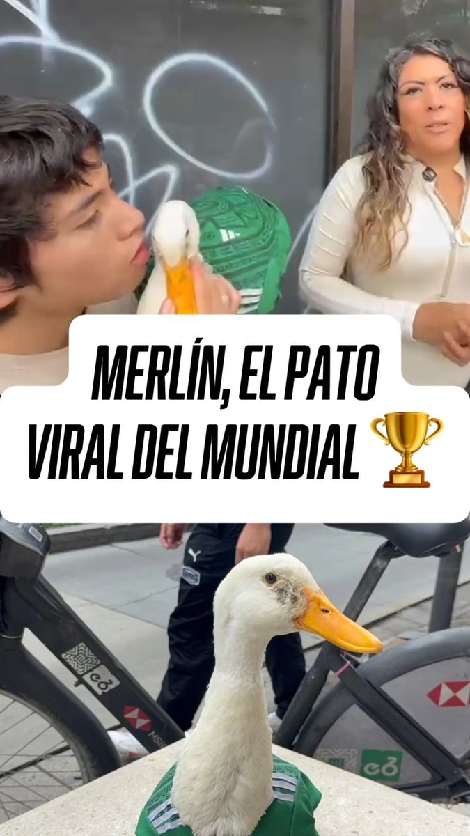 El Patito Merlín ya es todo un icono del la Copa del Mundo 2026.🦆🥹⚽️🏆 (Vía @espnmx)
