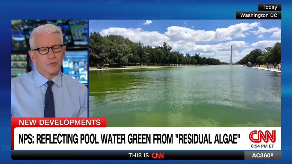 ‘Residual algae’ coats part of newly opened Reflecting Pool, according to the National Park Service.