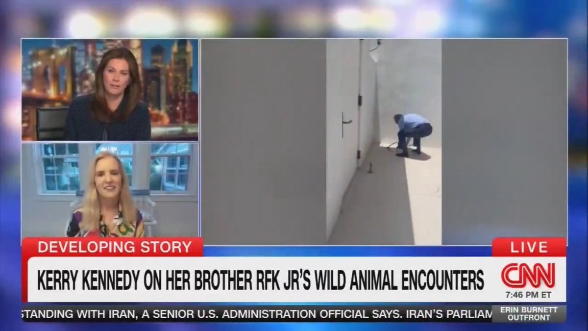 RFK Jr's sister: At my daughter's 4-year-old birthday party, RFK Jr stuffed a snake and small rodent together into a bag. The children all screamed. He then released the snake into a swimming pool full of children.