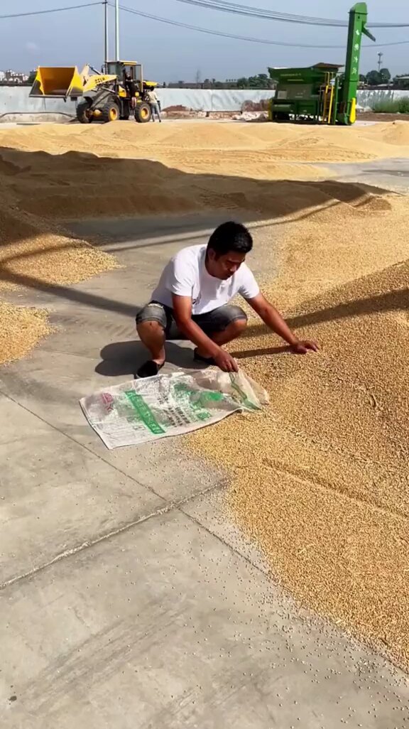 महाराष्ट्रात याची लय गरज आहे