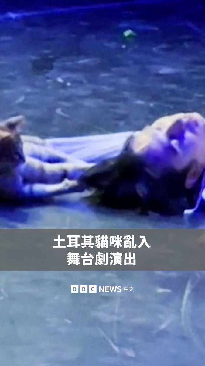 在土耳其一场《罗密欧与茱丽叶》的情感关键戏码中,一只猫意外成为全场焦点。这只猫走进露天剧场并爬上舞台,在演员演出茱丽叶悲痛哀悼之际,抓弄出演罗密欧的舞者。来自帝国俄罗斯芭蕾舞团的演员们仍照常完成演出。