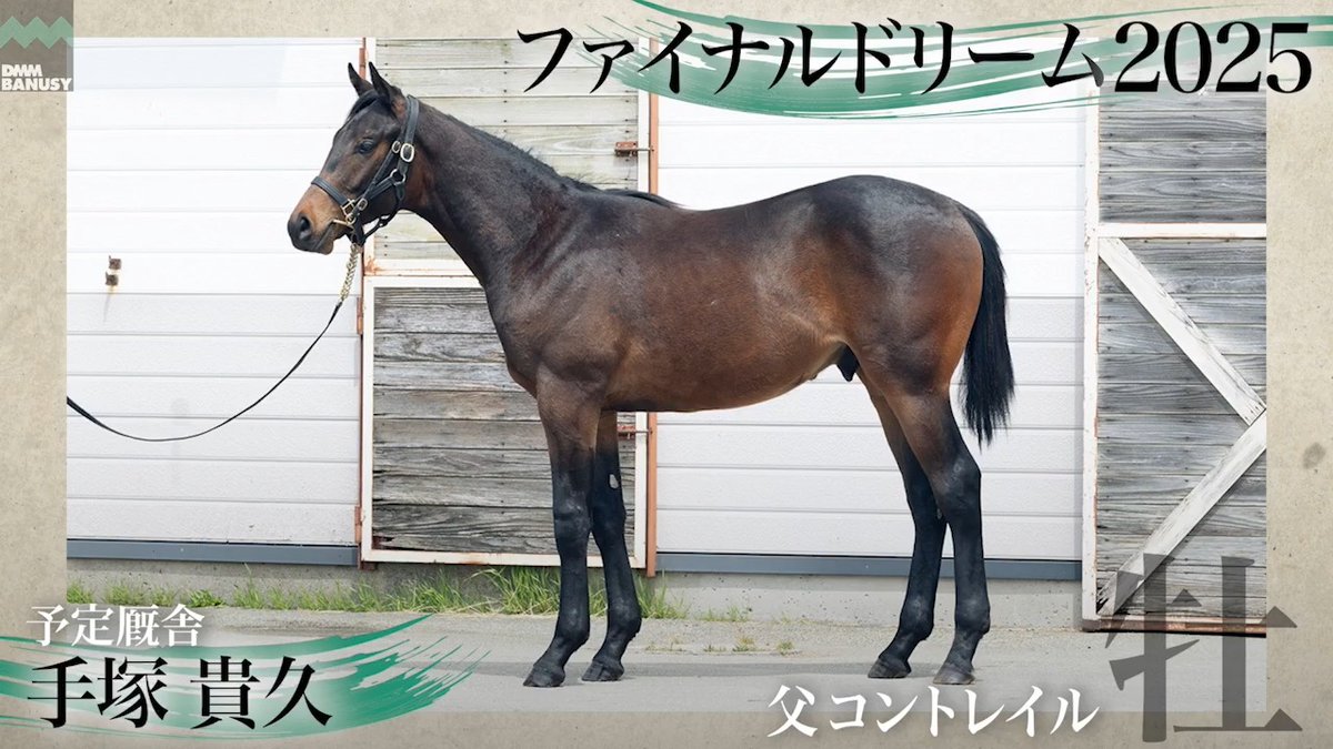 DMMバヌーシー2026年度1期募集 6月25日(木) 18時抽選募集開始 ファイナルドリーム2025(牡.1歳) 父 コントレイル 生産 辻牧場 厩舎 手塚貴久/関東 募集総額 3400万円/ 2000口 一口金額(一括) 17000円 一口金額(分割) 2840円(6回) 20％キャッシュバック 3400円