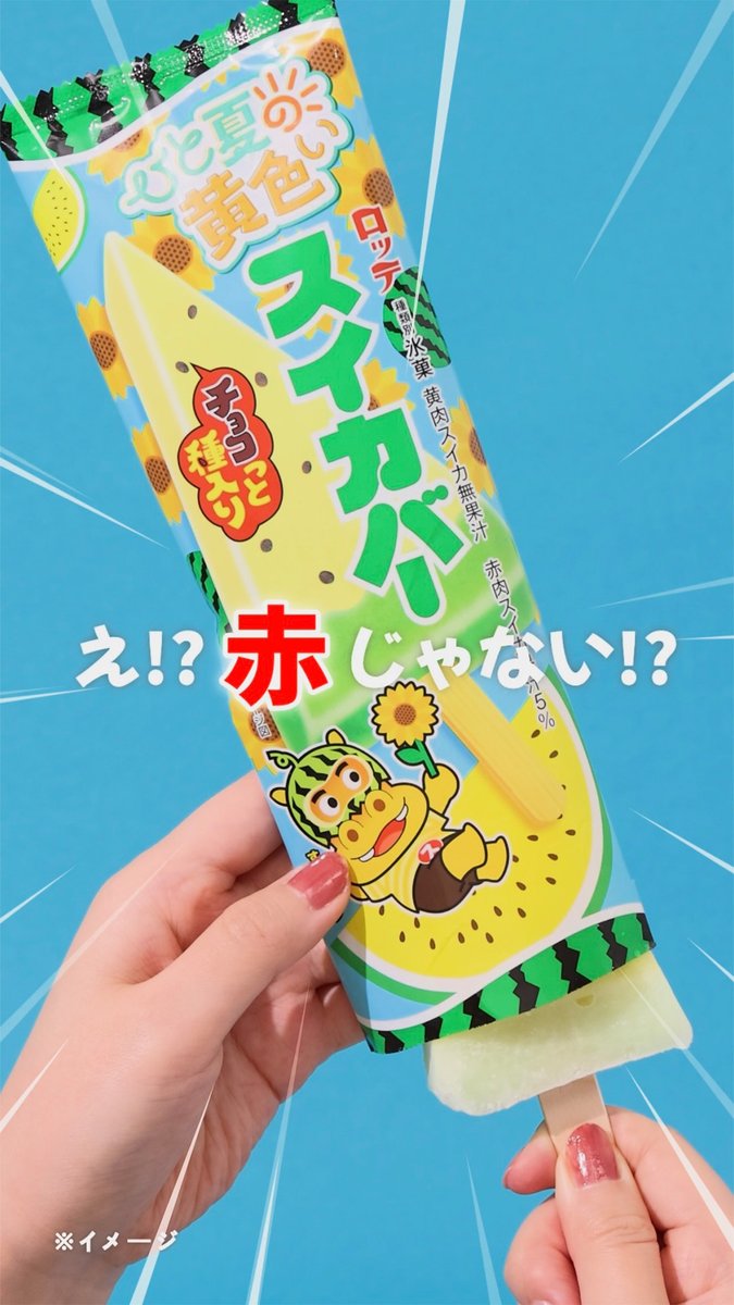 🍉💛⋆࿐🍉💛 え⁉️赤じゃない⁉️👀 🍉💛⋆࿐🍉💛 🆕『ロッテ ひと夏の黄色いスイカバー』 スイカをそのままアイスにしたような 「スイカバー」に💛黄色💛が登場！ スイカ果汁入りアイスと パフチョコの美味しさは安定だねっ😋 期間限定だから要チェック👀🌟 食べてみたい人はいいね💛