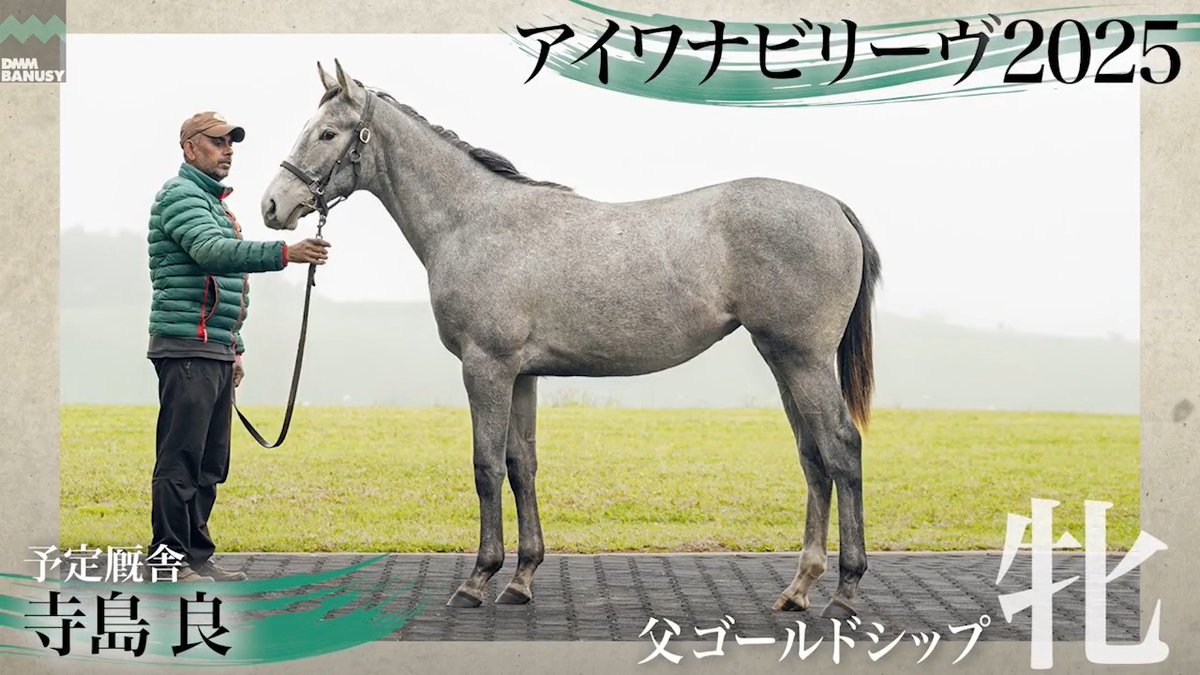 DMMバヌーシー2026年度1期募集 6月25日(木) 18時抽選募集開始 アイワナビリーヴ2025(牝.1歳) 父 ゴールドシップ 生産 パカパカファーム 厩舎 寺島良/関西 募集総額 1600万円/ 2000口 一口金額(一括) 8000円 一口金額(分割) 1340円(6回) 20%キャッシュバック 1600円
