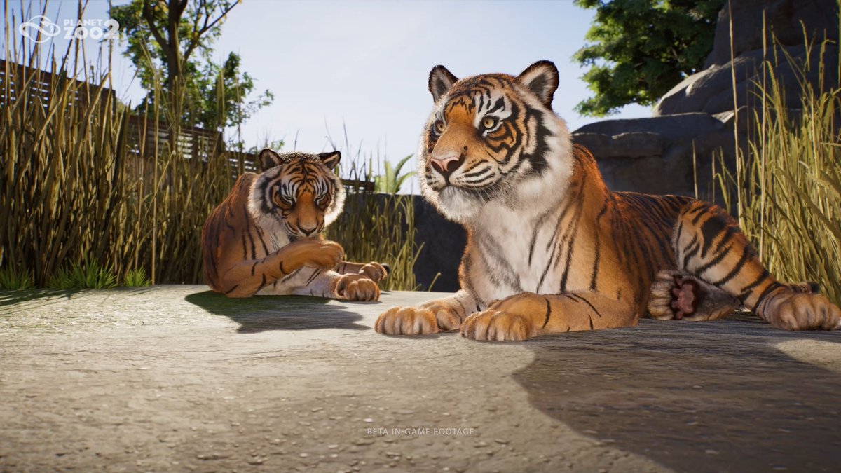 With an improved animal brain in Planet Zoo 2, you'll see a range of more natural and varied animal behaviours. From herding together, grazing from plants or reacting to the world around them - like a ball waking you up from a lovely nap... Pre-order now: