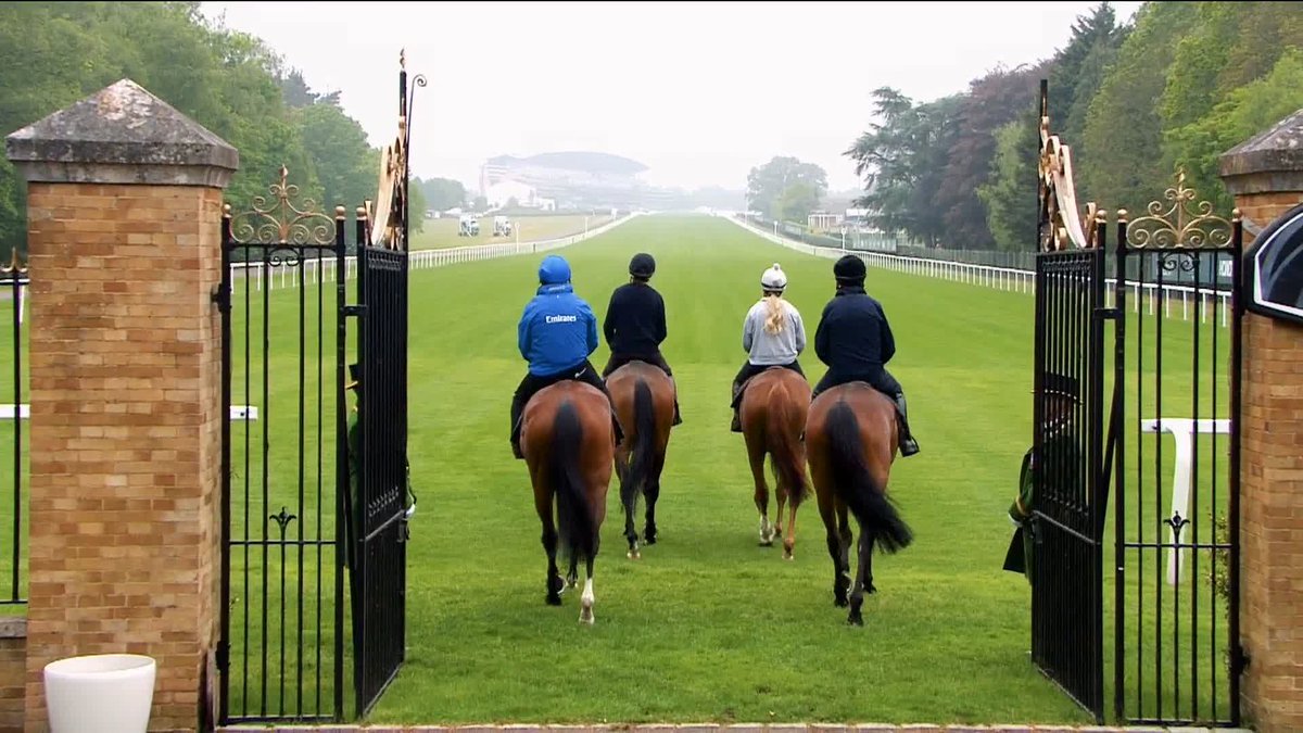 This is very special. 😍 Our four best riders take to the famous Ascot straight! Welcome to Royal Ascot 2026