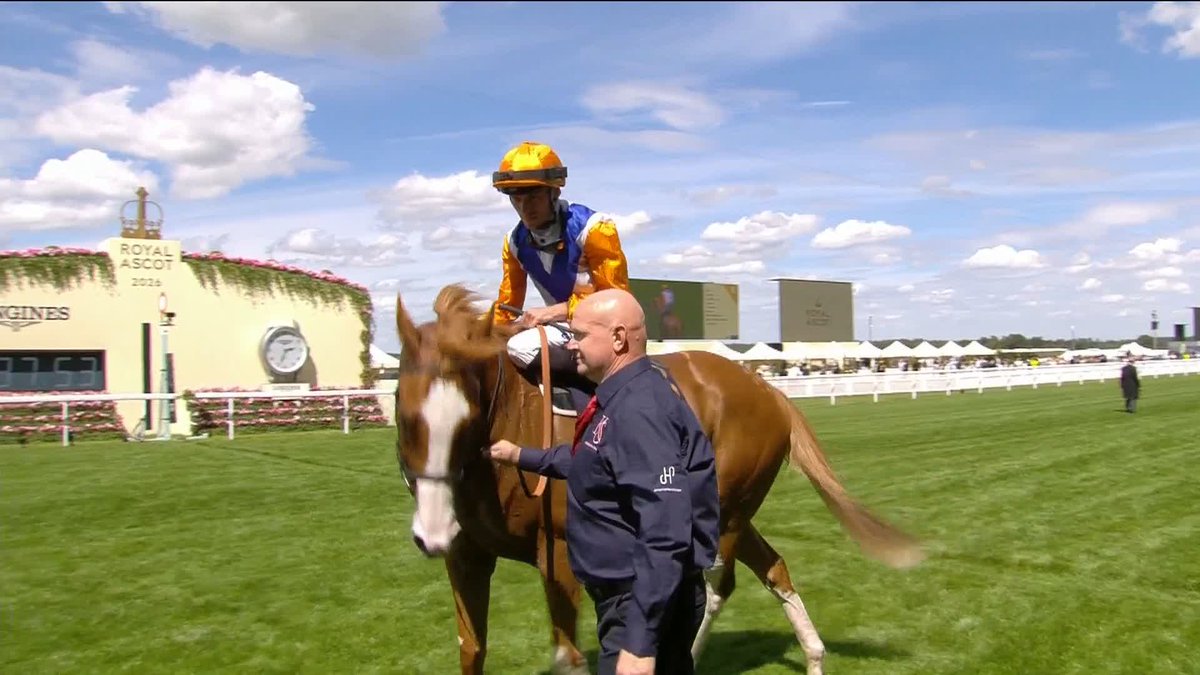 "Somewhat surprised, but delighted!" What a looker Ten Boby Tony is and Kieran Shoemark couldn't speak more highly of him.
