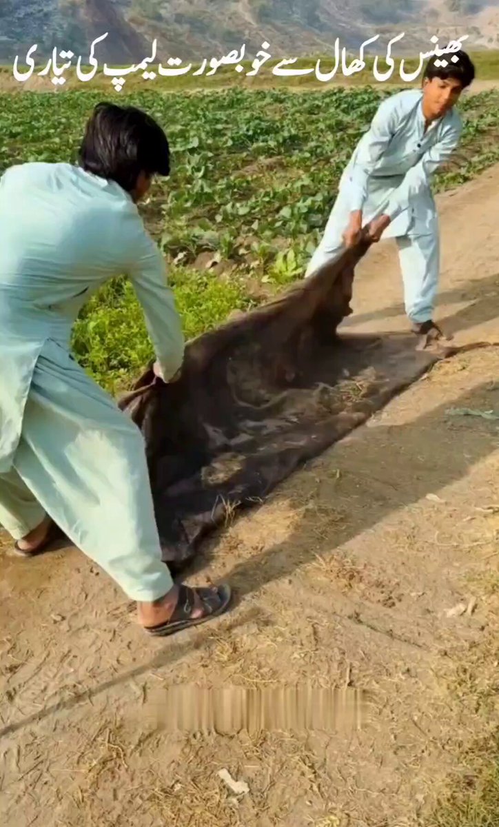 پاکستان کے مقامی کاریگروں کی یہ محنت یقیناً قابلِ ستائش ھے بھینس کی کھال کو اتنی کمال مہارت سے ڈھال کر ایک خوبصورت لیمپ تیار کرنا نا صرف ایک ہُنر ھے بلکہ یہ پاکستان کی روایتی دستکاری اور محنت کش طبقے کی تخلیقی صلاحیتوں کا منہ بولتا ثبوت بھی ھے