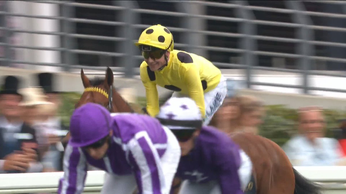 When you realise you won the St James's Palace Stakes...