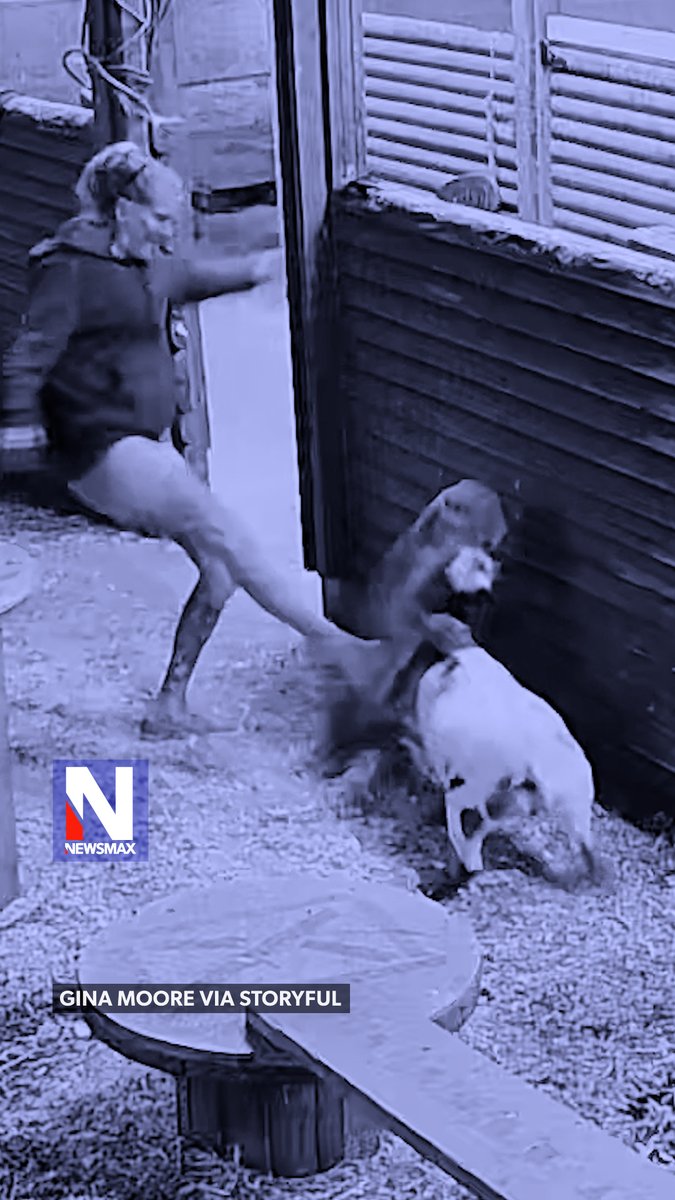 WOMAN FIGHTS COUGAR: Security footage captured the jaw-dropping moment a woman kicked a cougar to save her little goat during a frightening attack earlier this month in Nanaimo, Canada. “I knew there was a chance that the cougar would turn on me, so I’d better make whatever I did count,” she said.