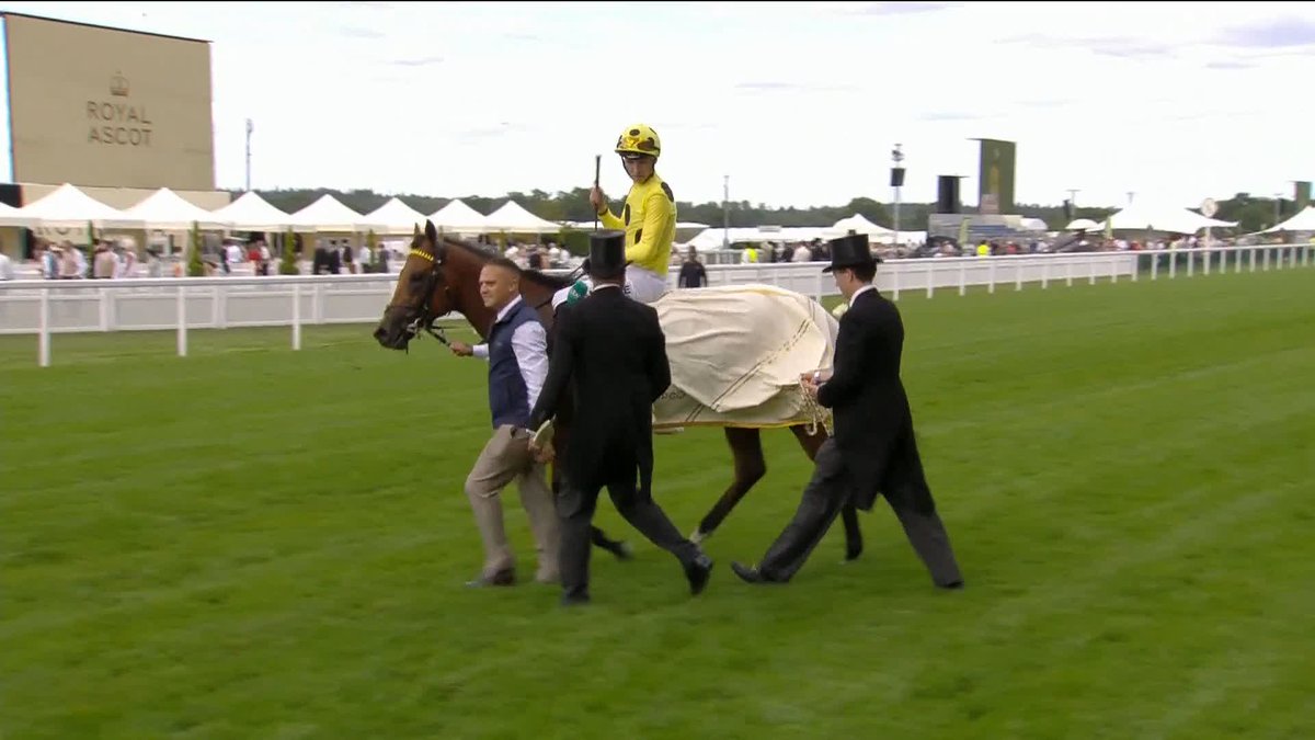 "A Group 1 winner at Royal Ascot... it really doesn't get much better!" 💥 Some atmosphere Ascot Racecourse for Bow Echo and Billy Loughnane right now