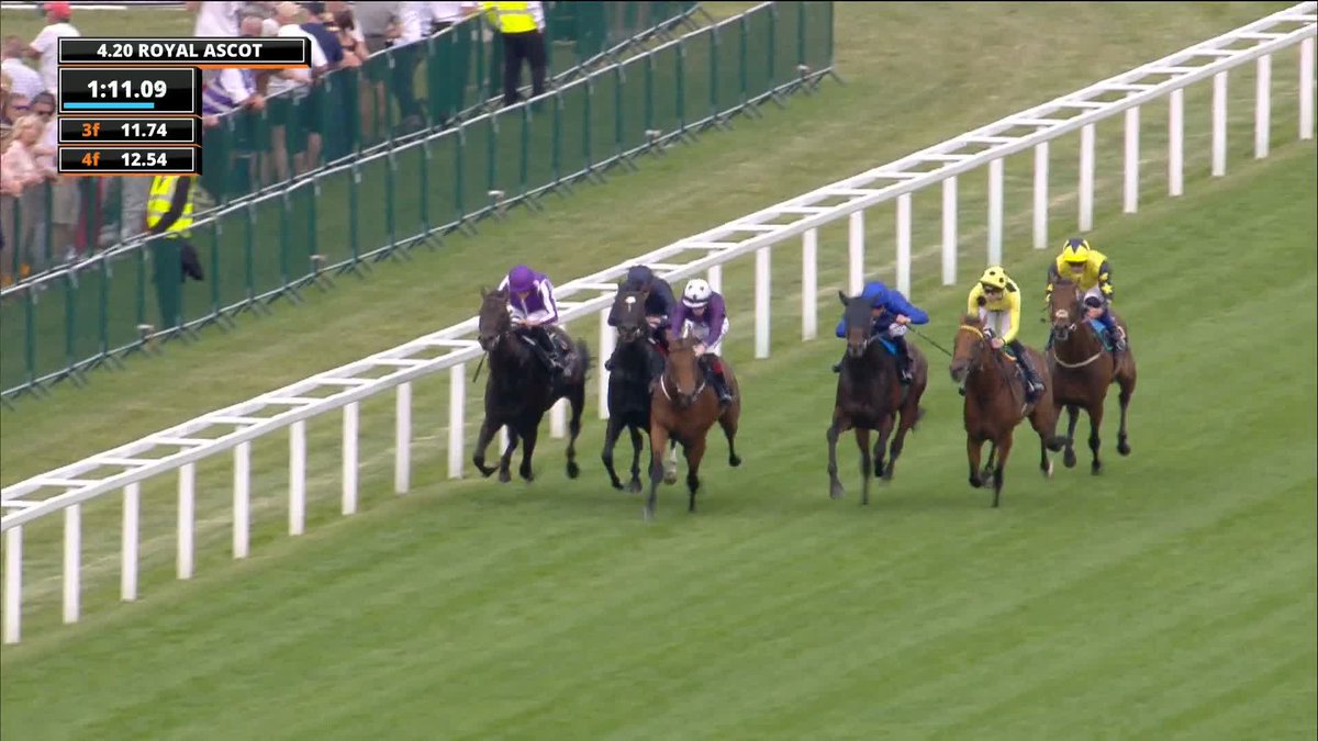 A MIGHTY fight! Bow Echo has toughed it out to take the St James's Palace Stakes narrowly ahead of Gstaad in a serious Guineas rematch.