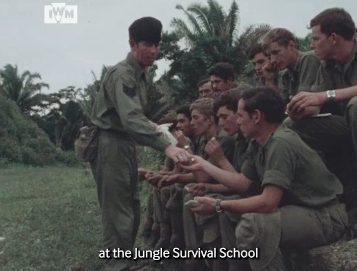 British Army jungle training filmed in Belize for a 1978, Ministry of Defence-sponsored film. Find the film in full here: Film: IWM BFH 6