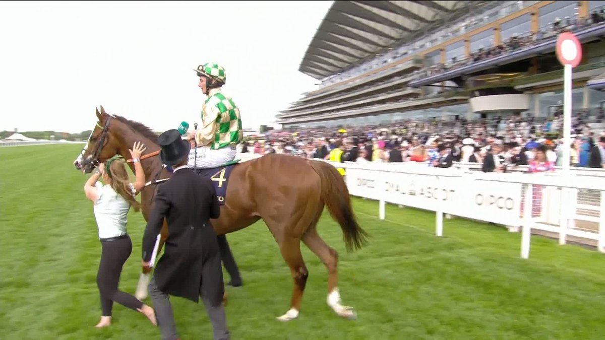 "We had a plan with this lad... it was a plan well executed." Rossa Ryan chuffed with Daiquiri Bay's Copper Horse win.