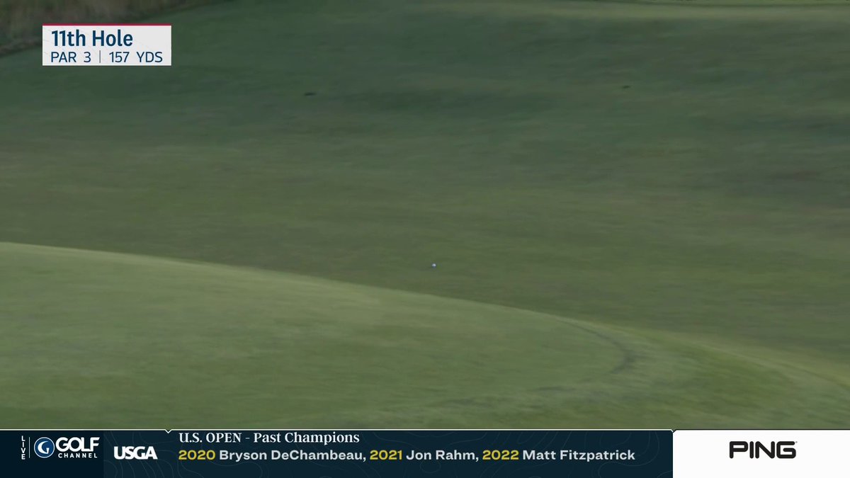 Smylie trying to take on the 11th green at Shinnecock 🙈