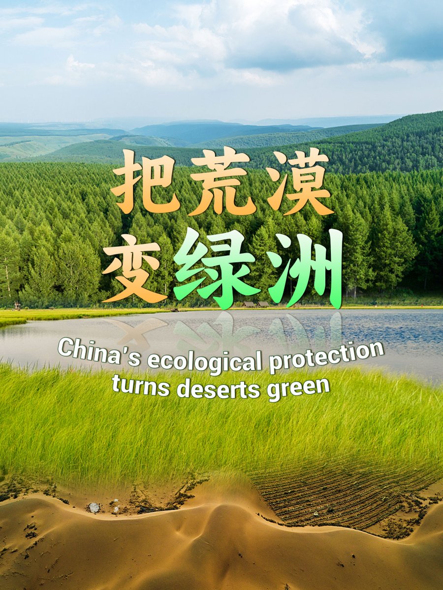 President Xi Jinping has made multiple visits to some regions severely affected by desertification to gain a first-hand understanding of the challenges on the ground. Over the decades, China has made significant progress in greening its sandy land through sustained efforts. Listen to some of Xi's key remarks here. #XiJinping #GreenChina #BeautifulChina