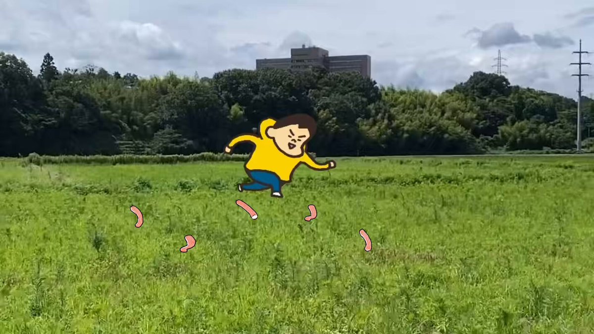動画「パックに詰められて息苦しそうだったカニカマを解放して一緒に散歩する人」を作りました