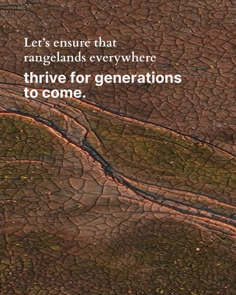 Rangelands cover half the Earth’s land surface, supplying vital food & sustaining over 2 billion people. Yet up to 50% of rangelands are degraded or at risk. On Desertification & Drought Day, let’s ensure that rangelands everywhere thrive for generations to come.