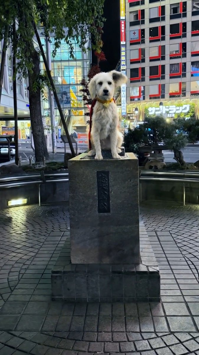 渋谷に忠犬クリプト像出現⁉ ⠀ あなたの家の愛犬や、 街中のクリプトの写真・動画を投稿すると 抽選で映画オリジナルグッズが当たる 《うちのスーパードッグキャンペーン》開催中🐾 ⠀ 映画『スーパーガール』 𝟲月𝟮𝟲日(金) 日米同時公開