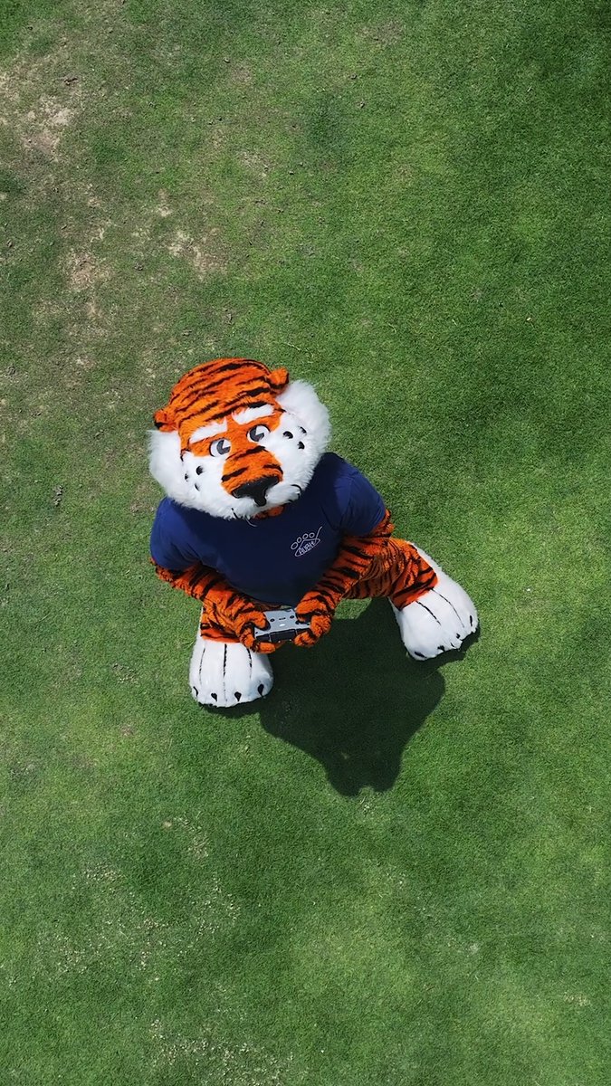 Happy National Mascot Day to THE BEST, Aubie the Tiger 👏