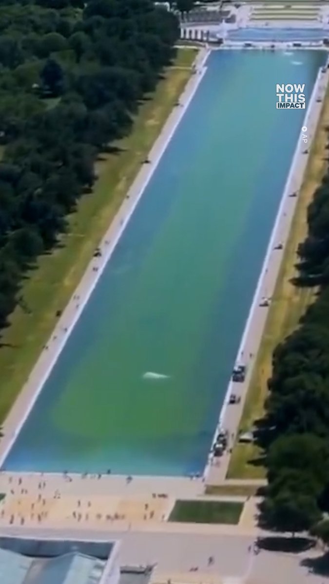 After a multimillion‑dollar makeover and a whole lot of nanobubbler hype, the Reflecting Pool was treated with gallons of hydrogen peroxide. It’s still not working.