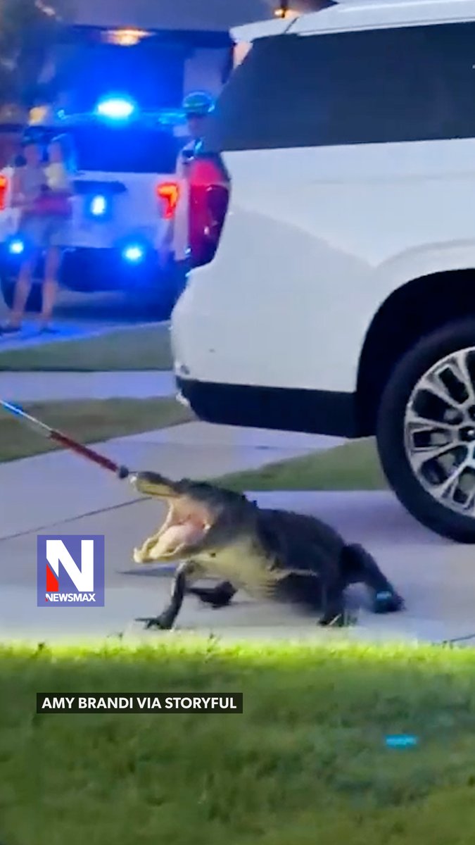 GATOR STANDOFF: A massive alligator brought a South Carolina neighborhood to a standstill after settling outside a home and refusing to leave. It took police and a specialist catcher three hours to capture and relocate the giant reptile. The homeowner who captured the encounter on video said she opened her front door to find the alligator “laying right outside the door.”