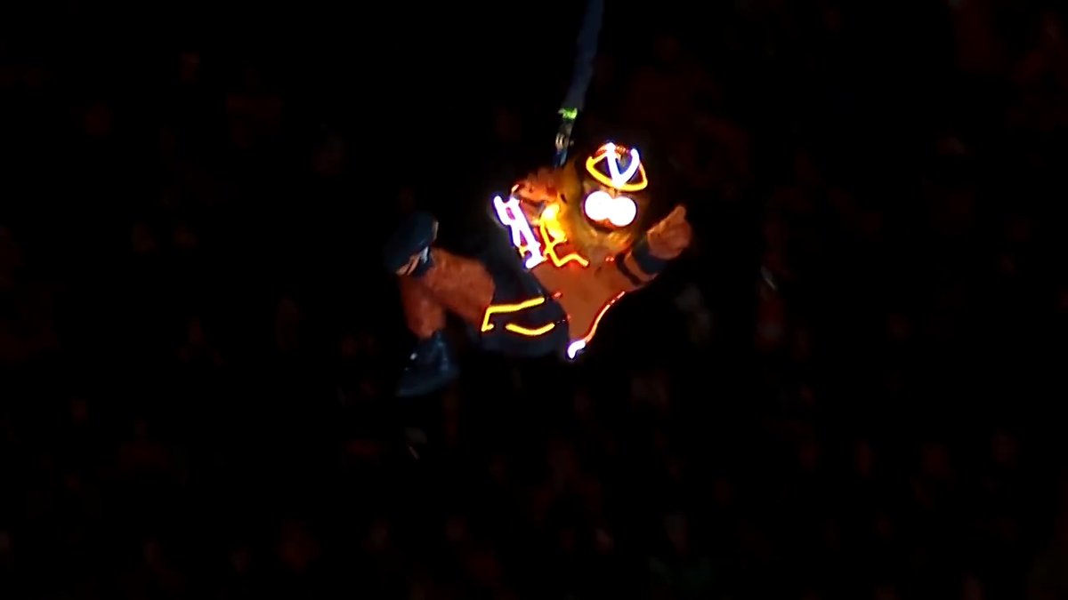 Sometimes we let Gritty zipline from them.