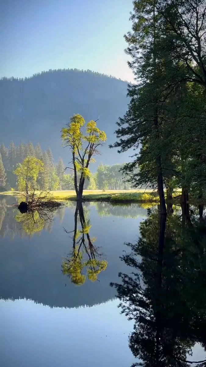POV: You’re standing in Yosemite Valley looking at a view that doesn't even look real. Nature really went all out on this one. 🌲✨