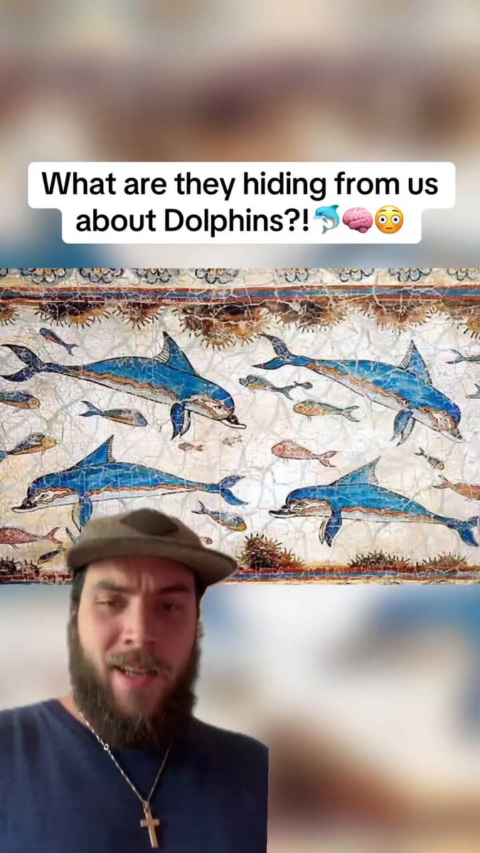 What are they hiding from us about Dolphins?