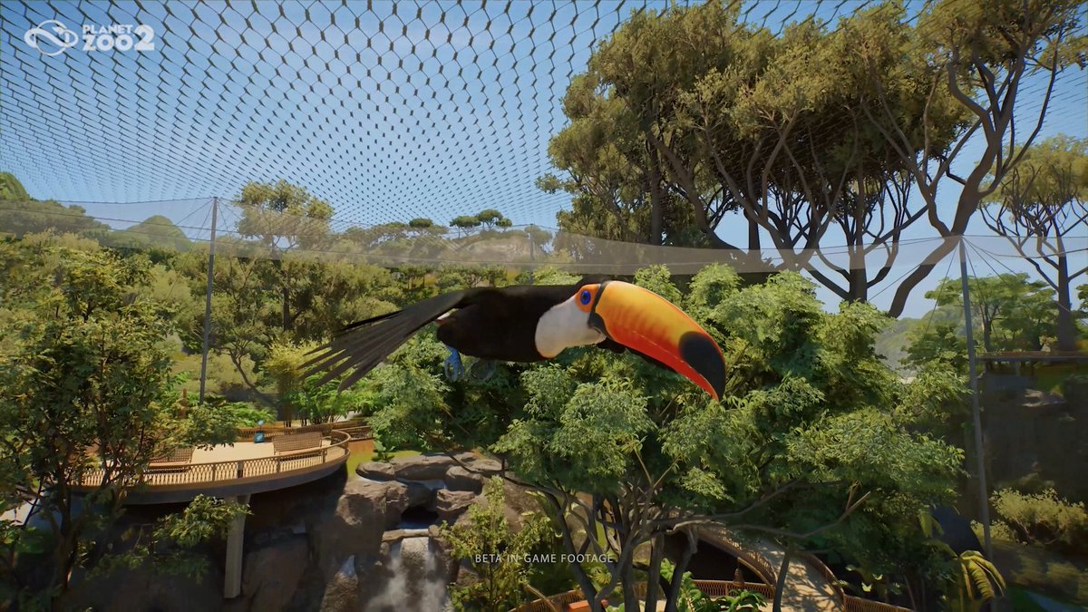 Utilise creative tools to build incredible aviaries for all-new flying species, like our friend here, the Toco Toucan 💚 Pre-order Planet Zoo 2: