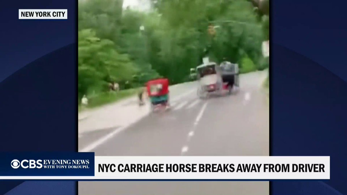 One person is in critical condition after a carriage horse was spooked and ran off in New York City. Officials say the horse was not injured.