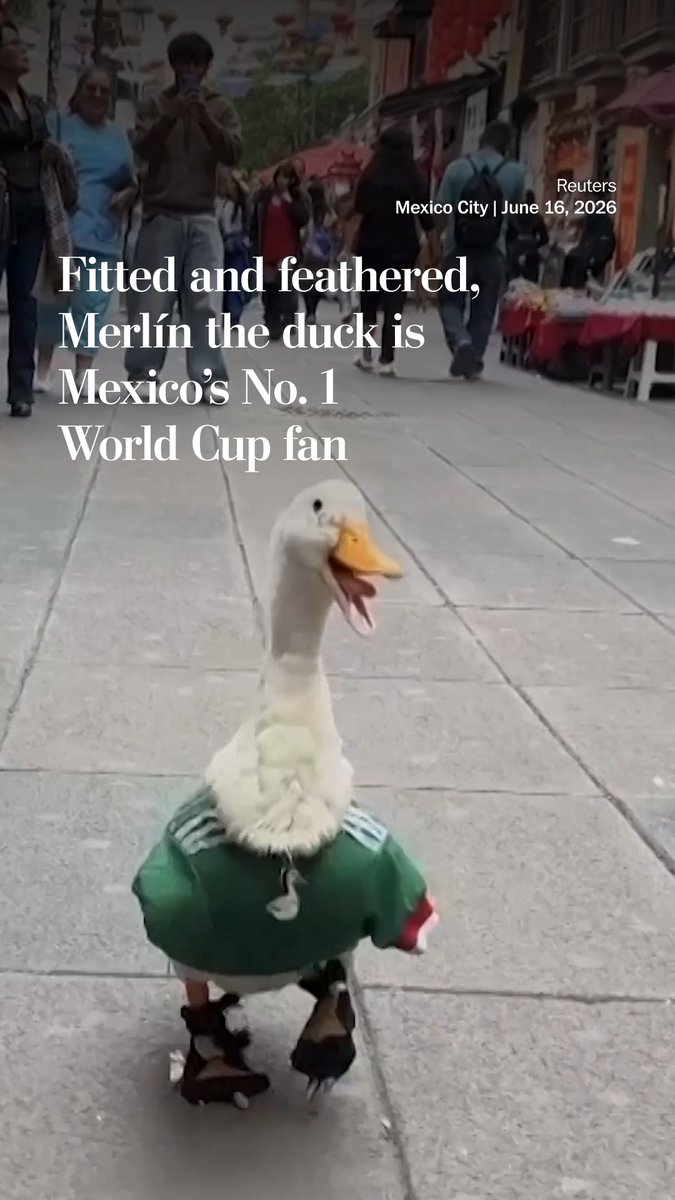 Mexico's World Cup players may have scored the goals, but a duck stole the show. Merlín, a 2-year-old duck dressed in the national team’s colors, became an unlikely internet sensation and an unofficial mascot of the tournament.