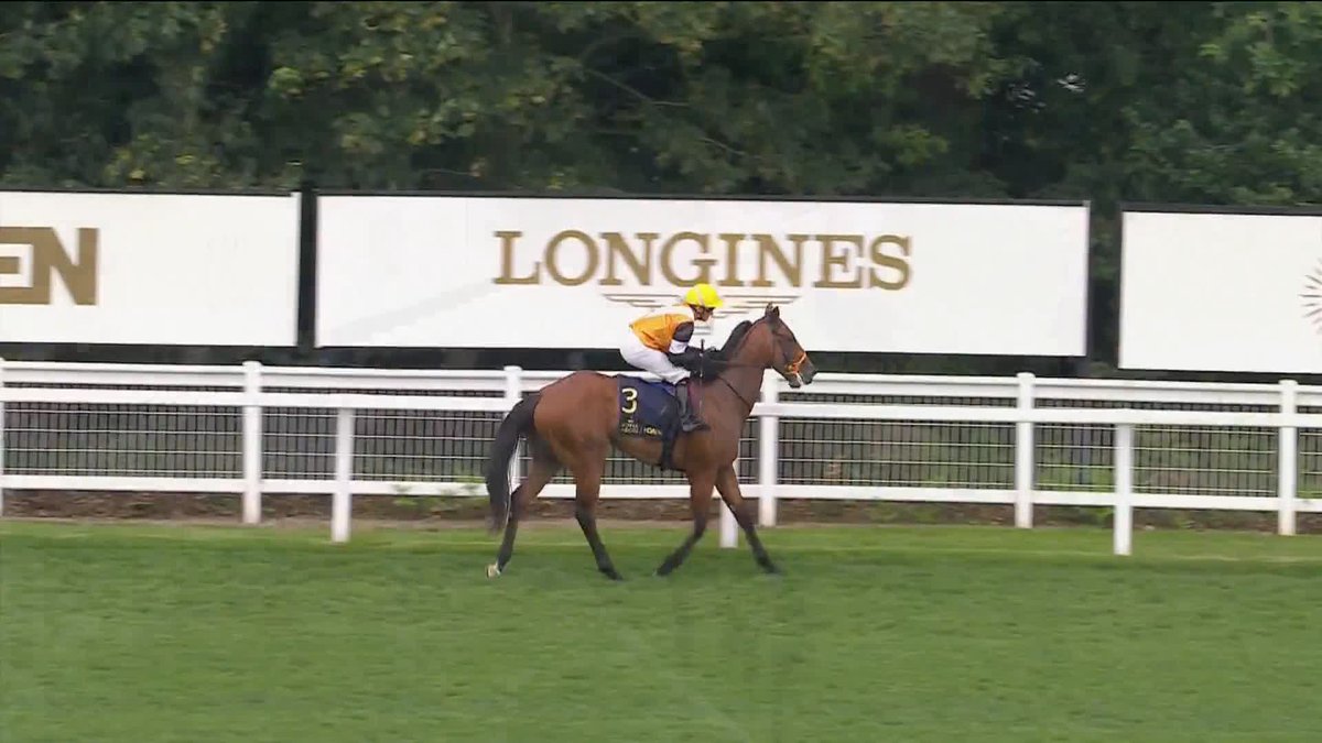 Nola Soul wins the Chesham Stakes! 🏆 What a moment for Trainer Fozzy Stack! #ITVRacing | fozzystack