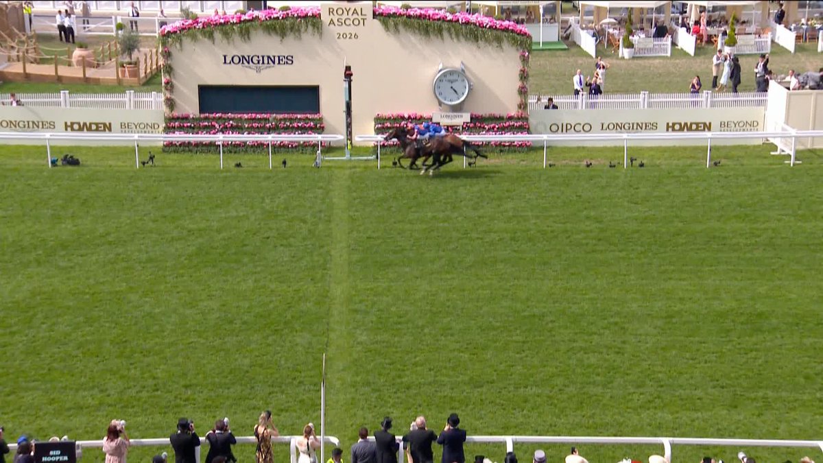 SCANDINAVIA WINS THE GOLD CUP! 🏆 100 ROYAL ASCOT WINNERS FOR AIDAN O'BRIEN! 💯