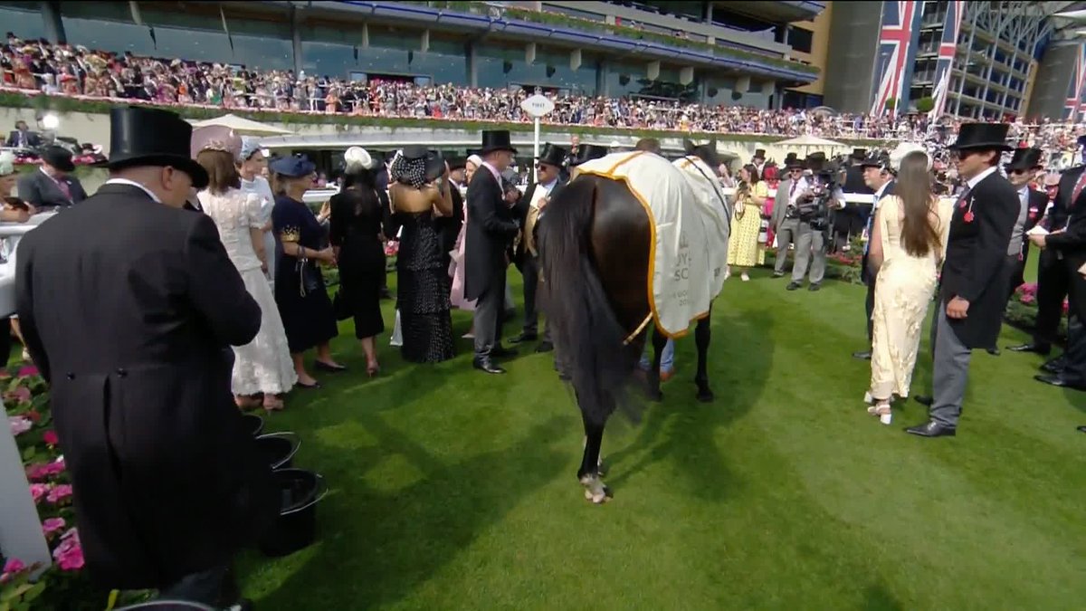 🗣"It's an honour and privilege for me to be involved in the team" Get the sound on as Aidan O'Brien reacts to his 100th winner at Royal Ascot! 🏆 #ITVRacing | Matt Chapman