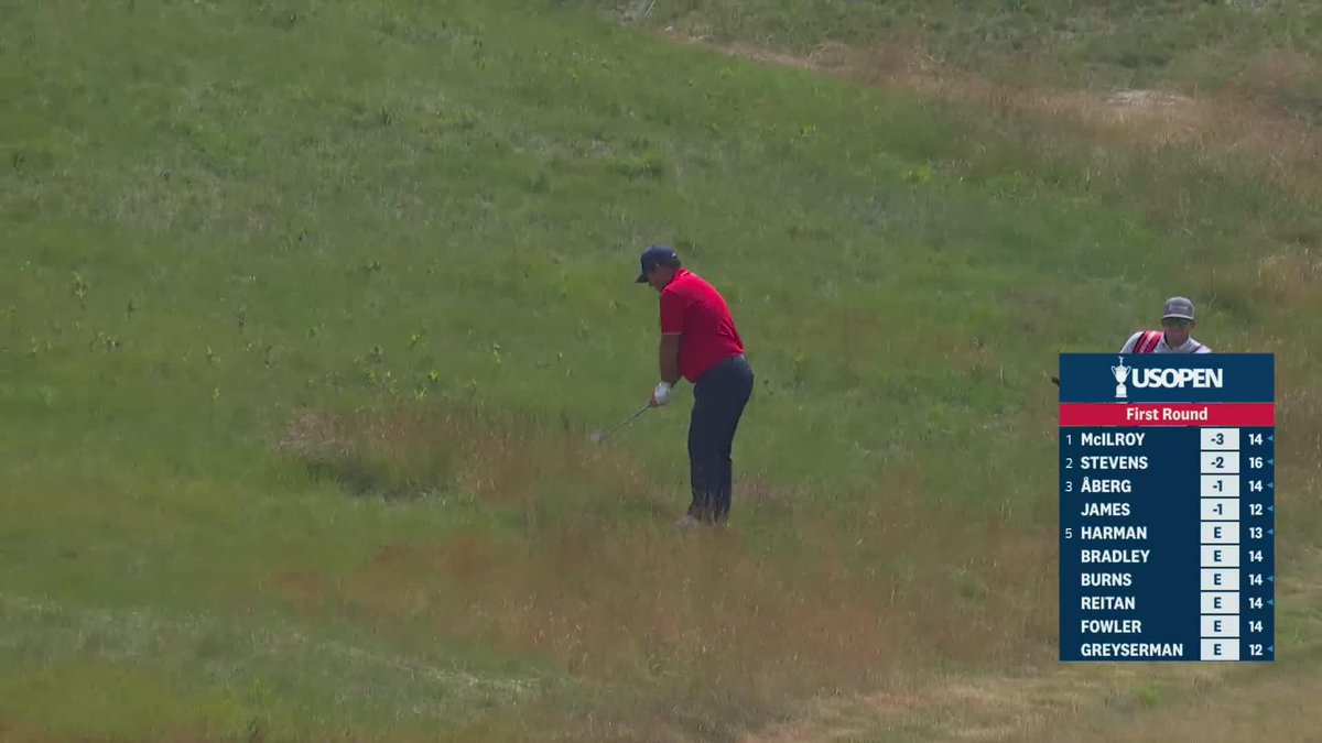 The fescue at Shinnecock is no joke.