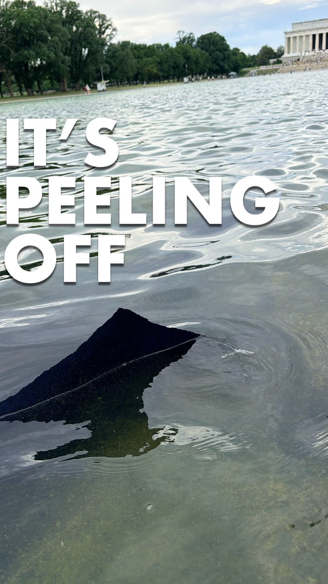 It’s true. Trump’s $14m paint job on the Lincoln reflecting pool is peeling off.