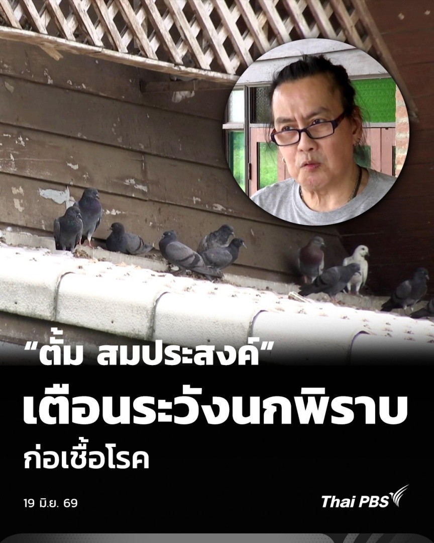 “ตั้ม สมประสงค์” เตือนระวังนกพิราบ ก่อเชื้อโรค | วันใหม่ ไทยพีบีเอส ตั้ม สมประสงค์ อดีตนักร้องชื่อดัง อาศัยอยู่ที่อำเภอแม่ริม จังหวัดเชียงใหม่ ระบุว่า สัปดาห์ที่ผ่านมา ต้องเข้ารักษาตัวที่โรงพยาบาล เนื่องจากป่วยกะทันหัน โดยเชื่อว่าสาเหตุจากการติดเชื้อจากนกพิราบ #ThaiPBS