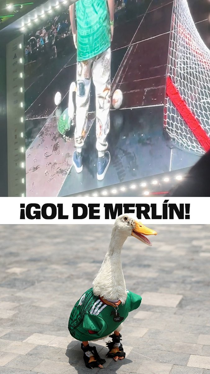 ¡GOOOOL! ⚽ 🦆 (vía @espnmx)